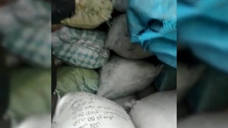 خط تولید زغال فشرده چینی کوره صنعتی کوره سنتی زغال ساز