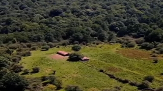 محمدرضا شجریان - بود دردمو و درمانم از دوست