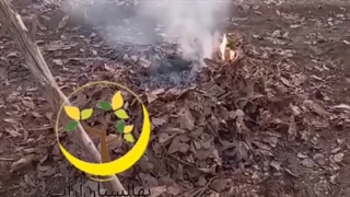 نهالستان آرات۰۹۳۷۲۳۶۹۴۶۶