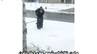 دقیقا همینه خخخخخخخ