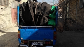 ارسال سیاه دانه بوجاری شده به مقصد مشهد (داپیدو)