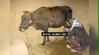 دانلود تفسیر طنز کلمه اینستاگرام ( اینِک سآغیرآم )