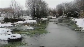 باصری آقاجان