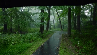 Relaxing Sounds In The Jungle With Rain 4K