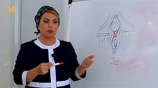 عمل سیستوسل