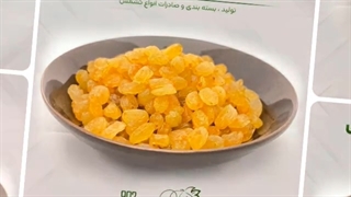 خرید کشمش گلدن - کشمش طلایی ملایر