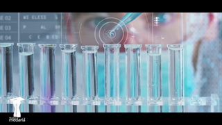 مداریا آکادمی