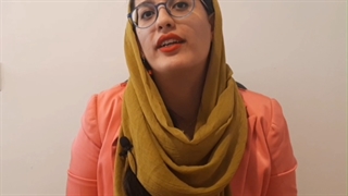 آموزش سئو | انواع موتور جستجو