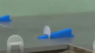 سرامیک کاری کف