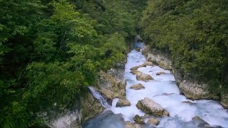 Relaxing Nature Sounds