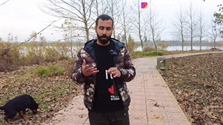 سگت آلفاست؟باید بدونی.....
