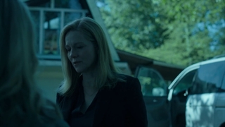 سریال Ozark - فصل 2 قسمت 10 با دوبله فارسی