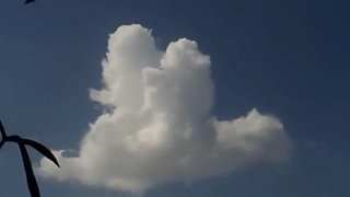 فیلمبردار-حسام الدین شفیعیان