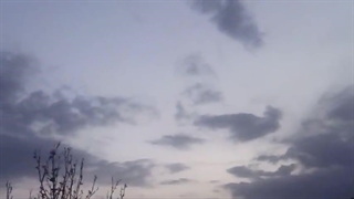 فیلمبردار-حسام الدین شفیعیان