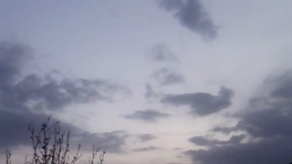 فیلمبردار-حسام الدین شفیعیان