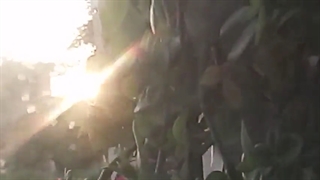 فیلمبردار-حسام الدین شفیعیان