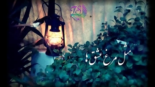 کلیپ دلنوشته(بالم شکسته)