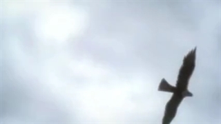 دانلود قسمت 19 فصل 4 حمله به تایتان ها (لینک دانلود در قسمت توضیحات)