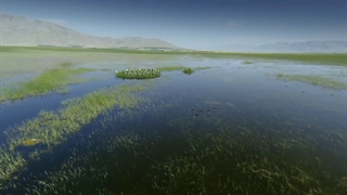 گردشگری  چهارمحال