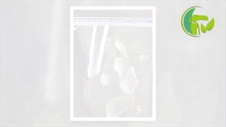 درمان علمی شکستگی مفصل