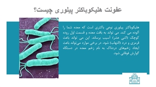 هلیکوباکتر پیلوری