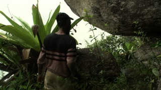 جای دنج در دل زاستار -  چشم انداز آبشار - بخشی از رخشاره مستند بادکنک سپید ساخته ورنر هرتزوگ