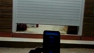 جک برقی موبایلی