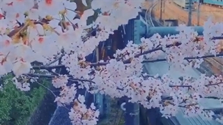 فردا امتحان فلسفه 6 درس~ تازه دارم 4 رو میخونم :')