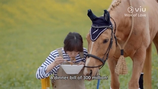 سریال کره ایی تابه گرسنه یا قابلمه گرسنه Wok Of Love