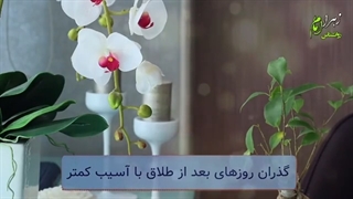 گذران روزهاى بعد از طلاق با آسیب کمتر