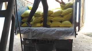 فروش و ارسال سیاه دانه بوجاری و لیزر شده به مقصد تهران (داپیدو)