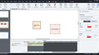 zoom  در کپتیویت