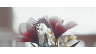 نگو خداحافظ