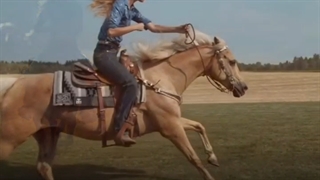 احساس بلاتکلیفی