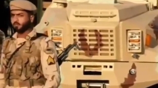 کار ما دادن جان مثل سلیمانی هاست...