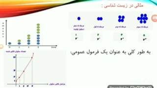 جلسه اول تابع نمایی،ریاضی یازدهم