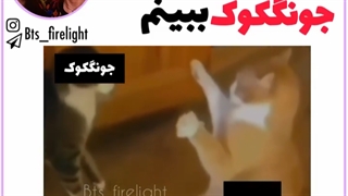 چنل دومم