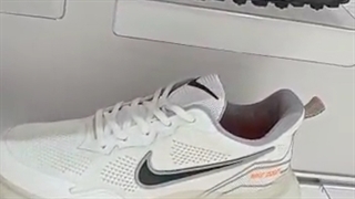 انواع کتانی در کرج