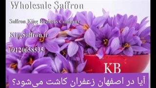 نمایندگی زعفران در اصفهان و فروش زعفران
