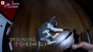 قسمت 12 (آخر) پارت 2 بلک پینک هوس (خانه بلک پینک) (kdrama.series.ir - (blackpink house