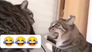 خیلی عالی بود من که پاره شدم