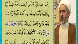 چرا در قرآن از قبیله و قوم لوط علیه السلام با تعبیر اخوان لوط نام برده شده ؟