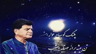 محمدرضا شجریان - تن بیشه پر از مهتابه امشب ...