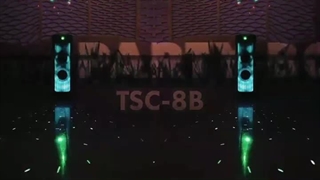 اسپیکر پارتی باکس tsc8 B-C ویکر تکی لیزر