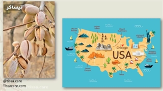 روغن بادام شیرین