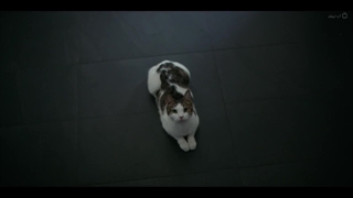 فیلم لبخند با دوبله فارسی/ Smile 2022