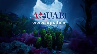 واتر پمپ آکواتک AQ203