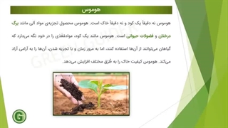 کود بلک پیت هوموس