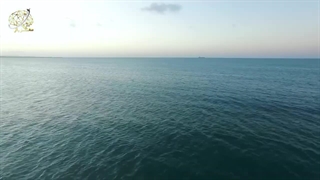 چی میشد اگر ماه وجود نداشت؟