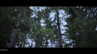 نتیجه....... وقتی یه چیزی میبینید تا پا و نفستون میکشه بدویید